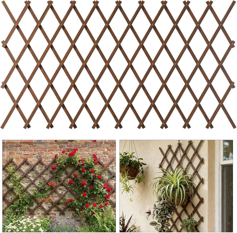 Tilinyan & one Expandable Garden Trellis, 37" x 90" Trellis for Climbing Plants Outdoor, Wooden Lattice Fence Wall Panel Lattice Panels for Outside, for Climbing Plants Vine Ivy Rose Cucumbers - Image 1